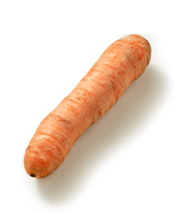 Winterpeen