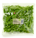 rucola