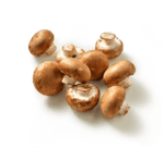kastanjechampignons