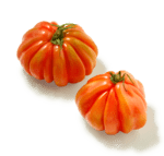 coeur de boeuf tomaten