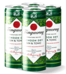 London dry gin & tonic
