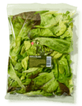 kropslamix