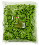 rucola