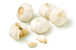 knoflook