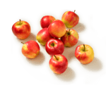 elstar appels